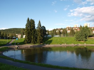 OLYMPUS DIGITAL CAMERA