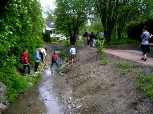 26Turvei langs Barkebåtbekken
