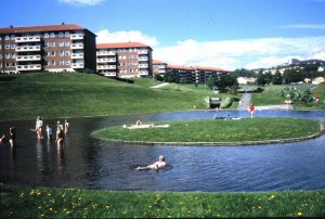 33 Bjerkedalen med tidligere plaskedam